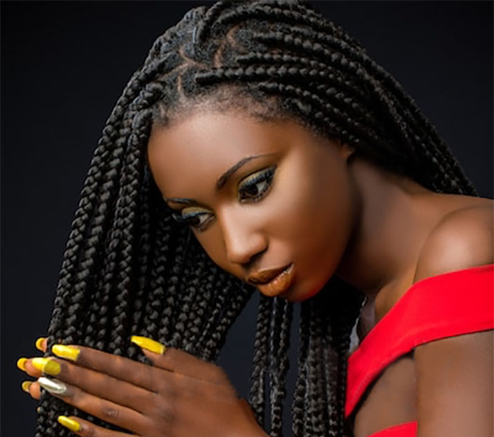 Long Box Braids Hairstyle